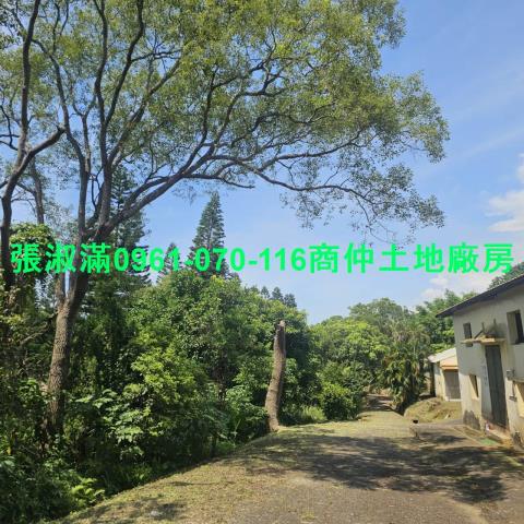 苗栗廠房-8