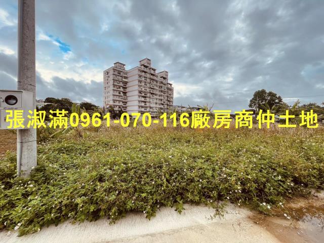 桃園農地-0