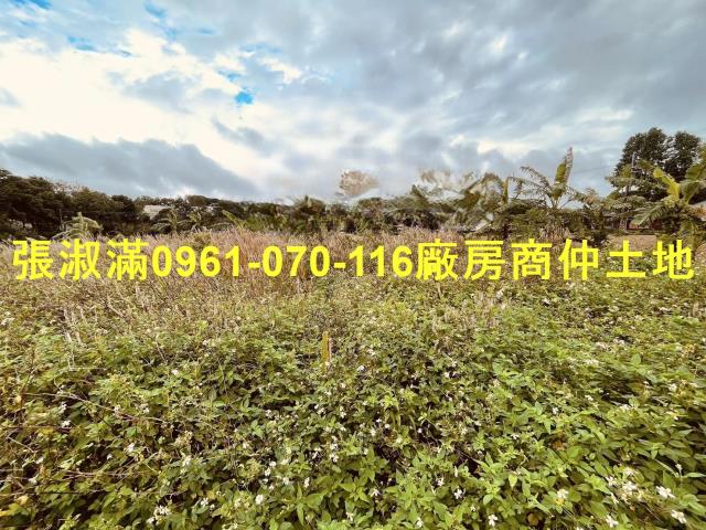 桃園農地-2