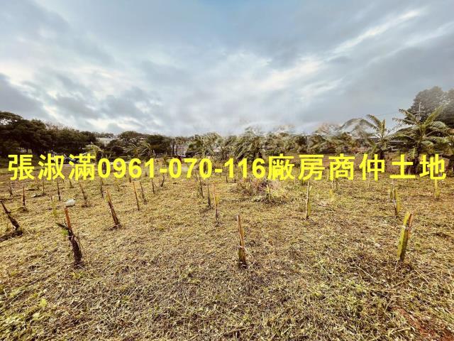 桃園農地-3