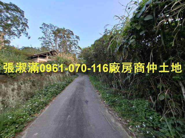 桃園農地-2