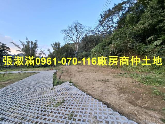 桃園農地-6