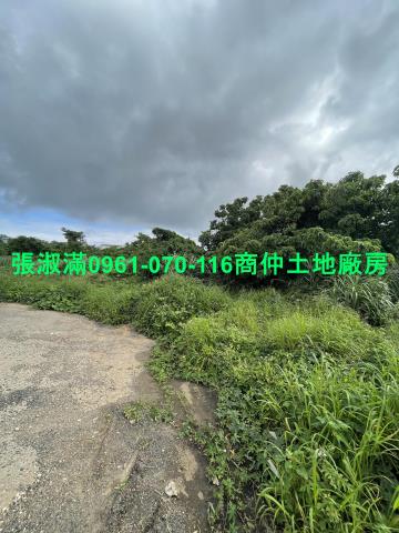 楊梅建地-3