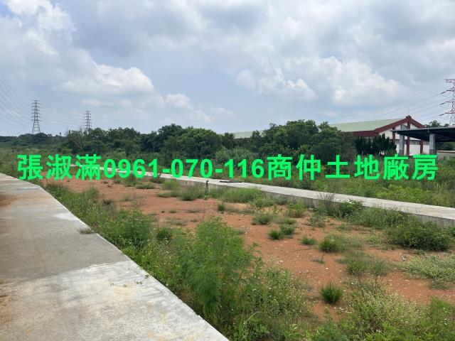 新竹關西農地-1