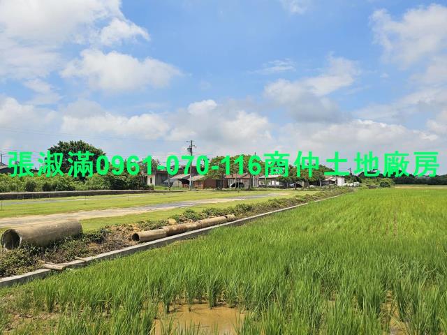 觀音農地-0