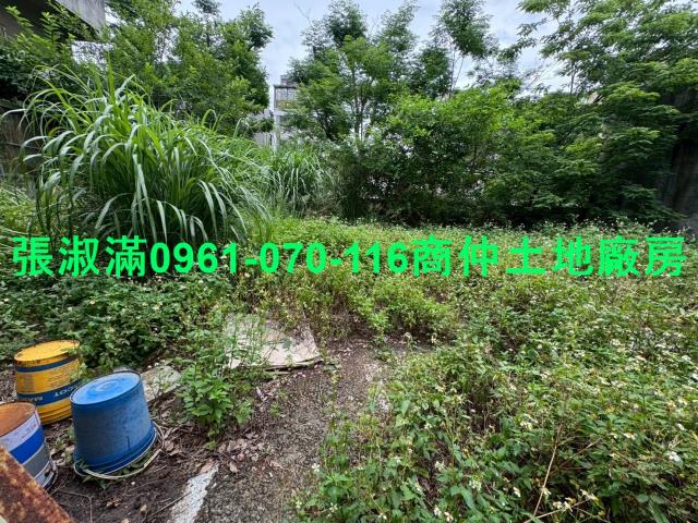 桃園八德工業地-2