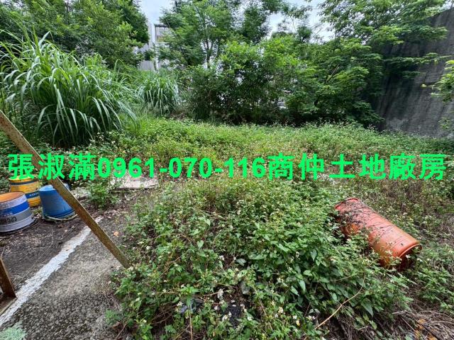 桃園八德工業地-4