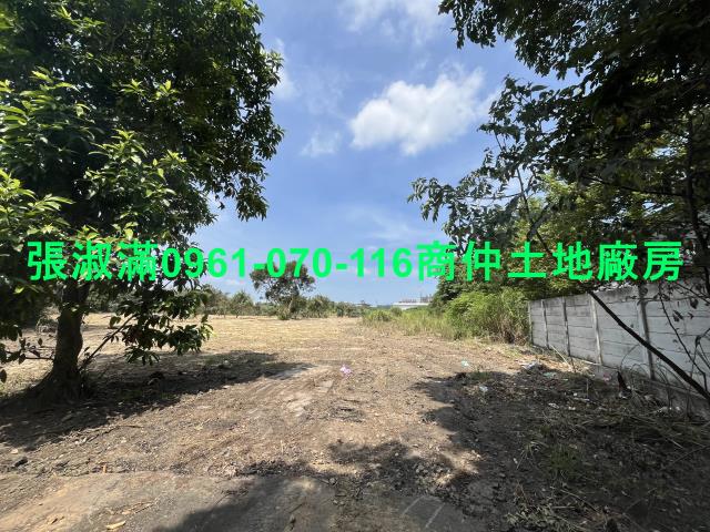 桃園大園工業地-1