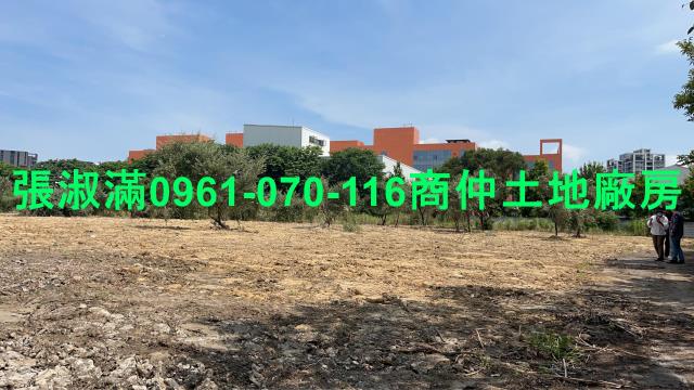 桃園大園工業地-2