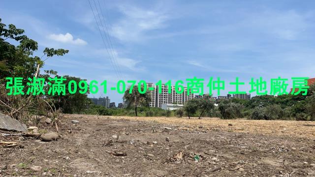 桃園大園工業地-5