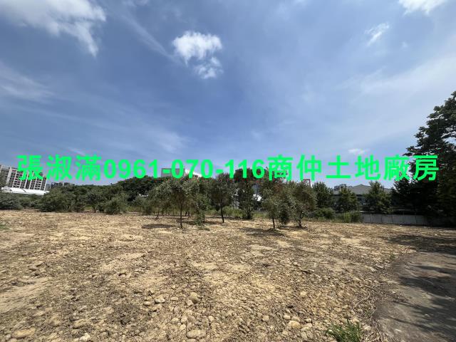 桃園大園工業地-7