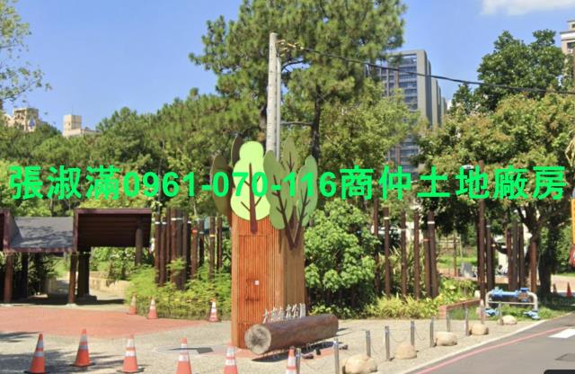 桃園建地-0