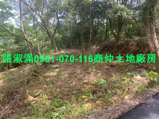 新竹關西農地-6